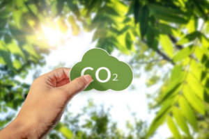Logística sustentável: como a cabotagem reduz emissões de CO2?